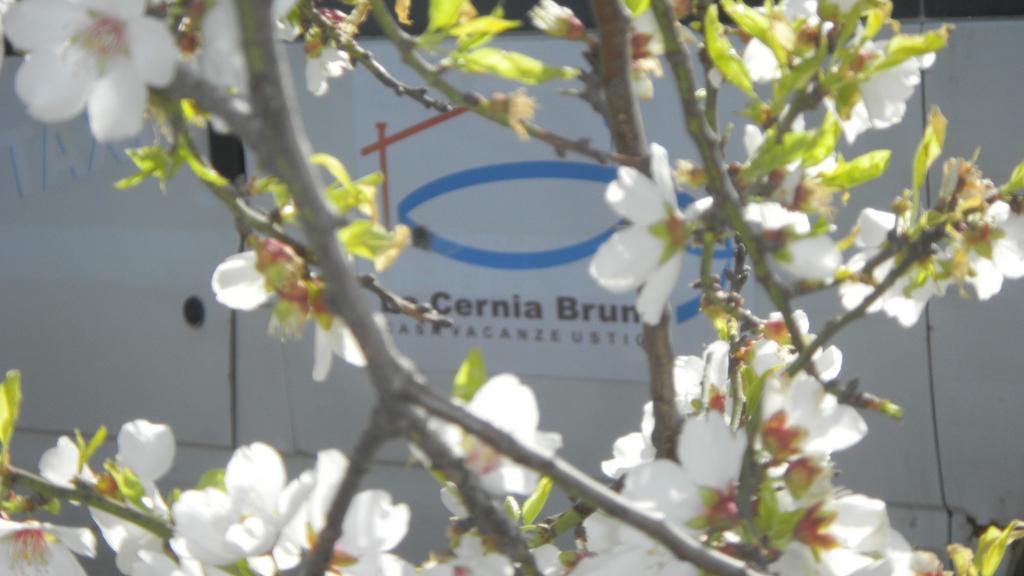 Case Vacanze La Cernia Bruna Isola di Ustica Buitenkant foto